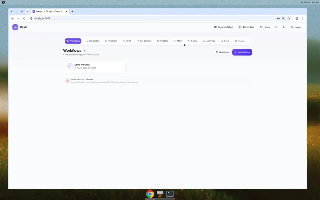Heym workflows dashboard showing workflow cards, folder organization, and navigation tabs